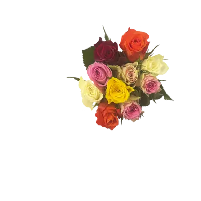 pdp-image-AH Rozenmix
