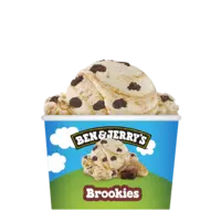 Ben & Jerry's Brookies