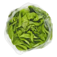 AH Kropsla