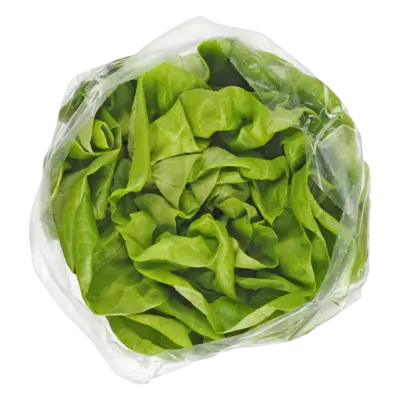 pdp-image-AH Kropsla