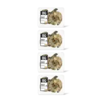 AH BBQ black tiger garnalen knoflook 4-pack
