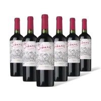 Sibaris Carmenère Gran Res. 6 flessen