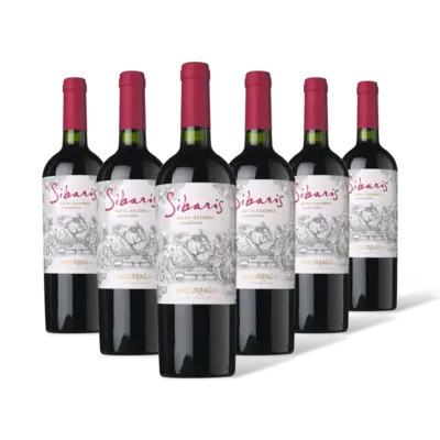 pdp-image-Sibaris Carmenère Gran Res. 6 flessen