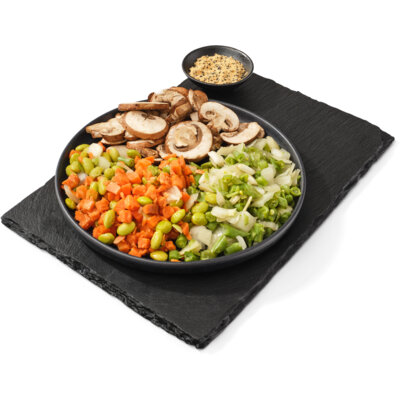 pdp-image-AH Terra Groente & peulvruchten Japanse teriyaki