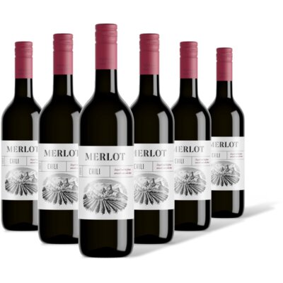 pdp-image-AH Merlot 6 flessen
