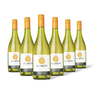 pdp-image-Aliwen Chardonnay reserva 6 flessen