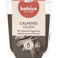 Een afbeelding van Bolsius True scents geurglas oud wood 8cm
