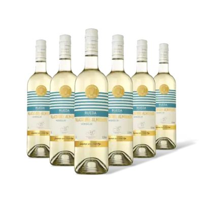 pdp-image-AH Excellent verdejo palacio almirante 6 flessen