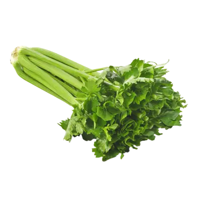pdp-image-AH Biologisch Bleekselderij