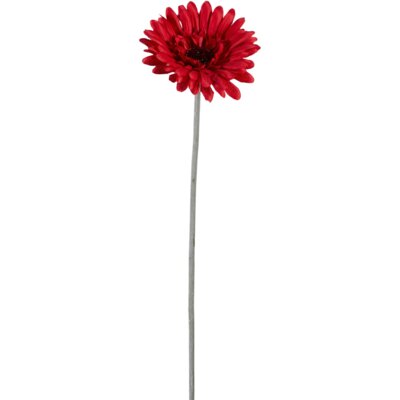 pdp-image-Bloemencentrale Gerbera mix 58cm