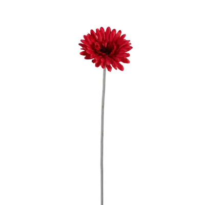 pdp-image-Gerbera mix 58cm