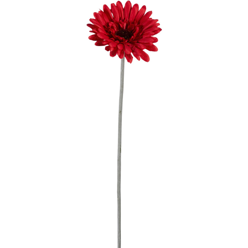 Een afbeelding van Bloemencentrale Gerbera mix 58cm