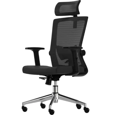 pdp-image-Lifegoods Ergonomische bureaustoel