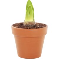 Productfoto van undefined