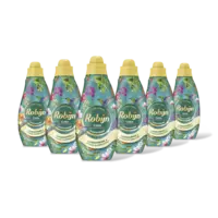 Robijn Color paradise secret wasmiddel 6-pack