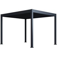 Orion Neo terrasoverkapping 300x360cm
