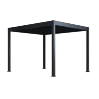 Orion Neo terrasoverkapping 300x360cm