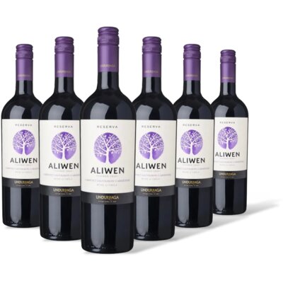 pdp-image-Aliwen Cabernet sauvignon carménère 6 flessen
