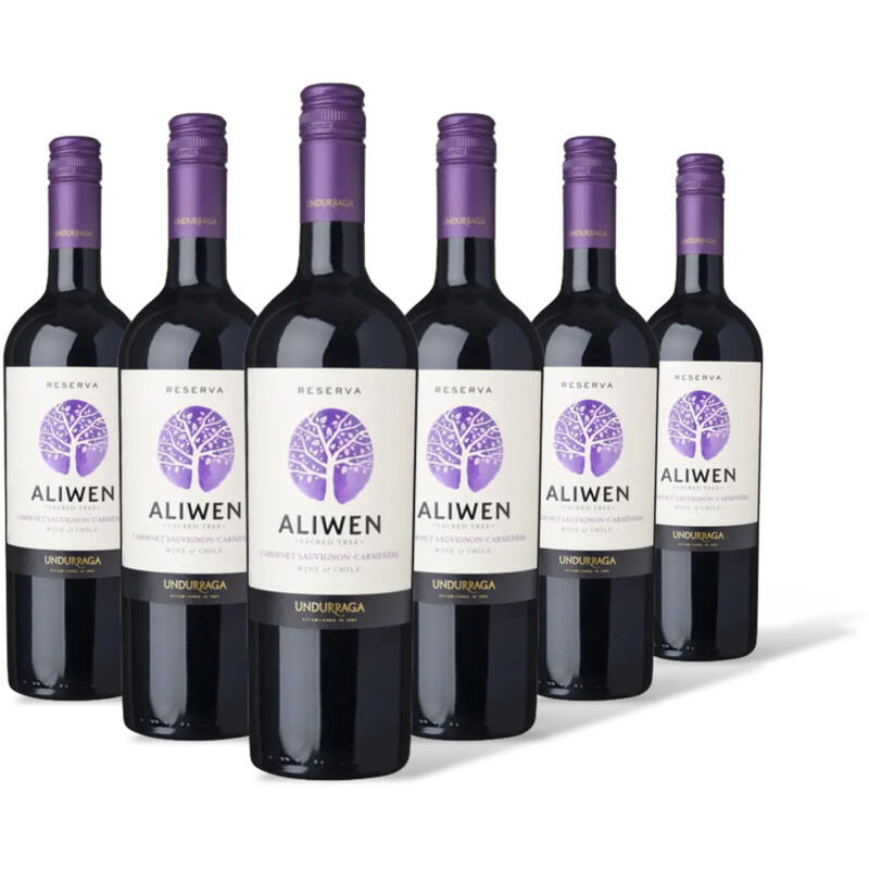 Aliwen Cabernet sauvignon carménère 6 flessen