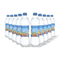 Crystal Clear Sparkling peach 10-pack