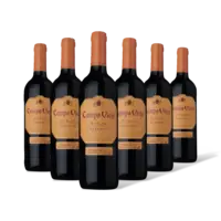 Campo Viejo Rioja Reserva 6 flessen