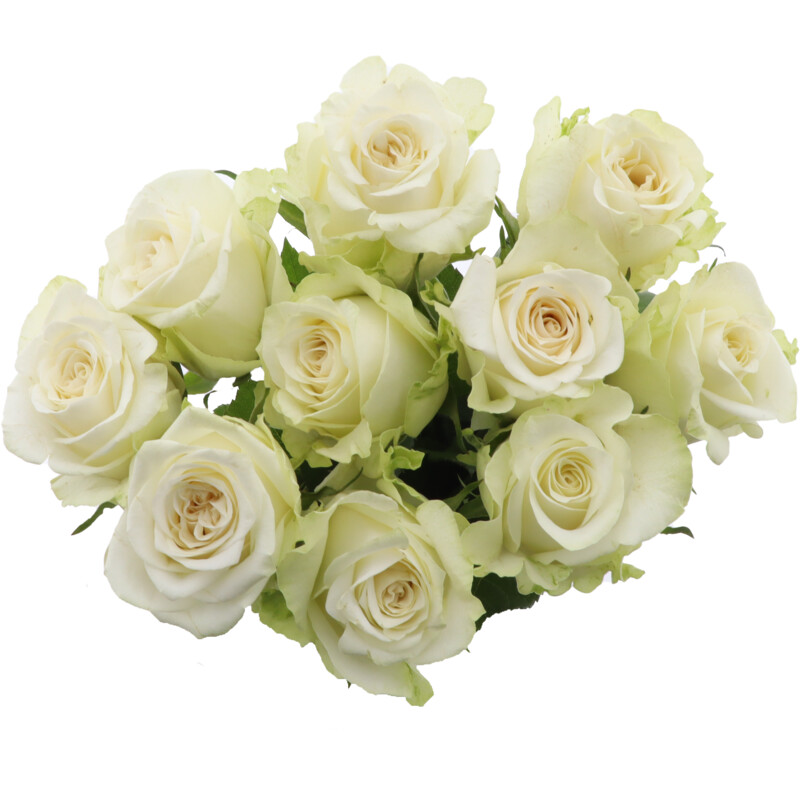 Een afbeelding van AH Rozen gemengd koud