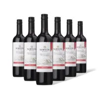 Norton Colección malbec 6 flessen