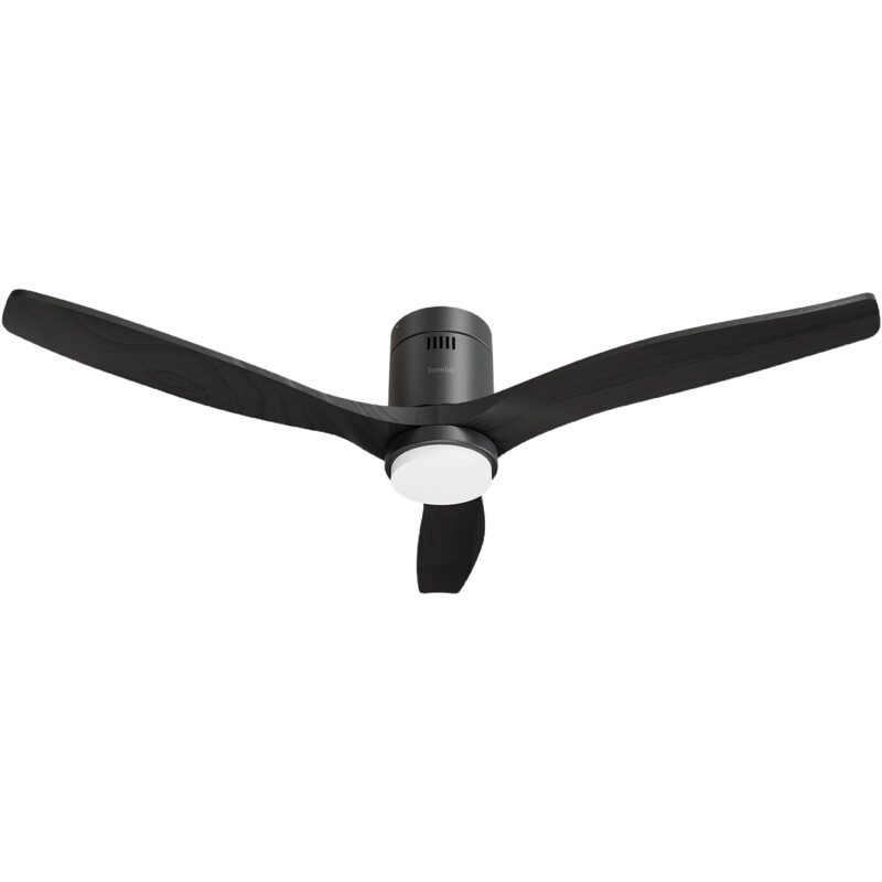 Een afbeelding van Hombli Smart ceiling fan & light - black/black