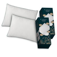 Een afbeelding van Van der Valk Hoofdkussen 2 stuks