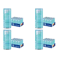 Red Bull Ice edition sugarfree 4x 12-pack