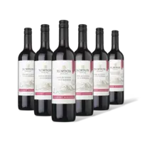Norton Colección cabernet sauvignon 6 flessen