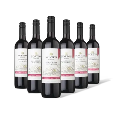 pdp-image-Norton Colección cabernet sauvignon 6 flessen