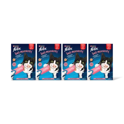 pdp-image-Felix Deli moments liquid snacks zalm 4-pack