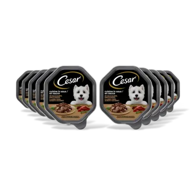 pdp-image-Cesar Cuisine met kalkoen & rund in saus 10pk