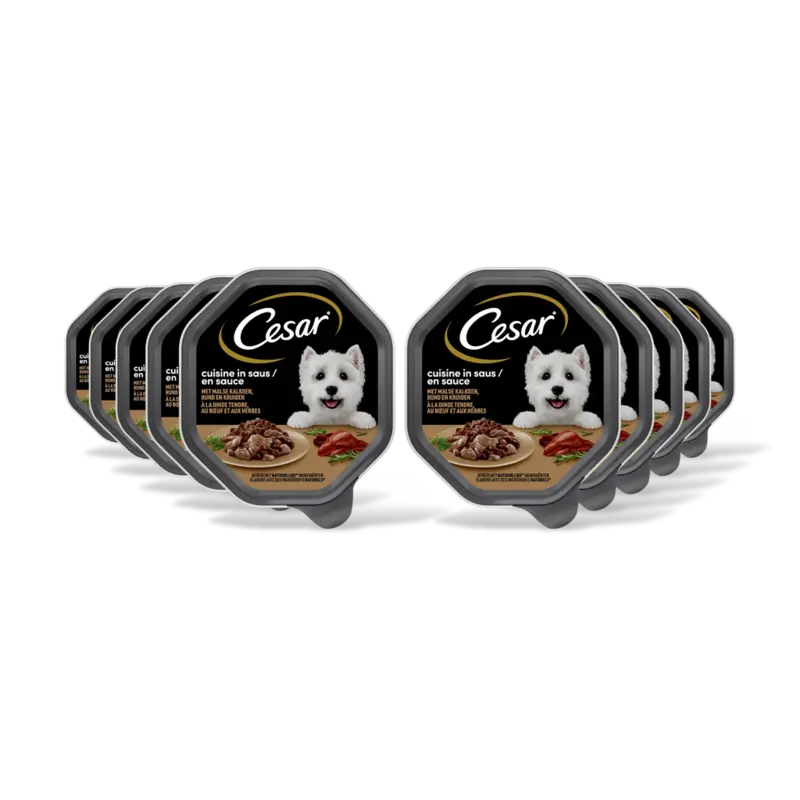 Cuisine met kalkoen & rund in saus 10pk