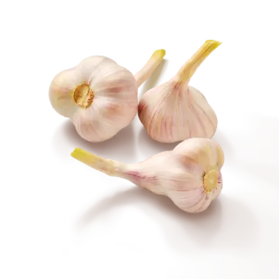 pdp-image-AH Verse knoflook