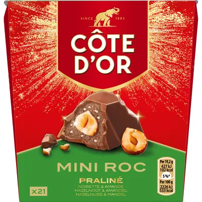 pdp-image-Côte d'Or Mini roc praline