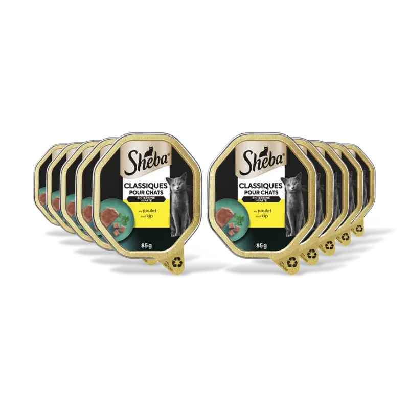 Classics pat met kip 10-pack