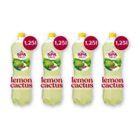 Spa Fruit lemon cactus 4-pack