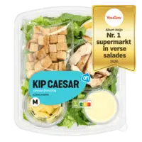 AH Kip Caesar M