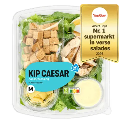 pdp-image-AH Kip Caesar M