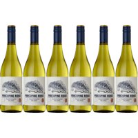 Een afbeelding van Porcupine Ridge Sauvignon blanc 6 flessen