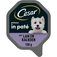 Cesar Primeur in pat lam en kalkoen