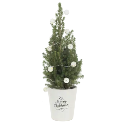pdp-image-AH Kerstboom verlichting glitterbal p15