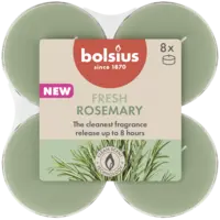 Bolsius Maxilichten 8u true scents rozemarijn