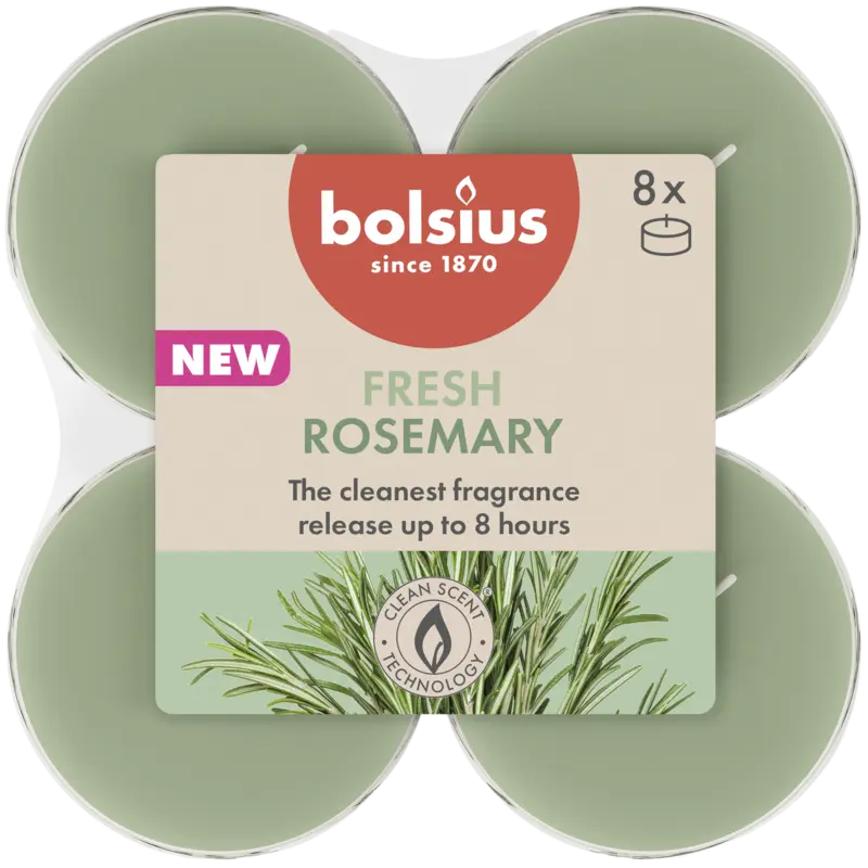 Bolsius Maxilichten 8u true scents rozemarijn