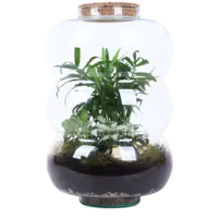 AH Terrarium ring rondingen L