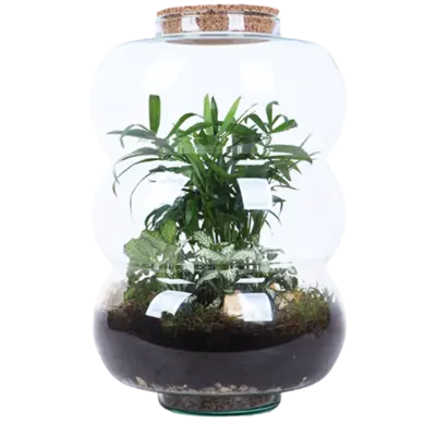 pdp-image-AH Terrarium ring rondingen L