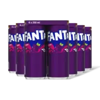 Fanta Cassis 24-pack