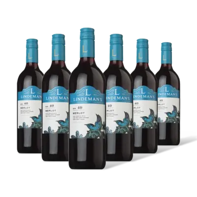 pdp-image-Lindeman's Bin 40 Merlot 6 flessen